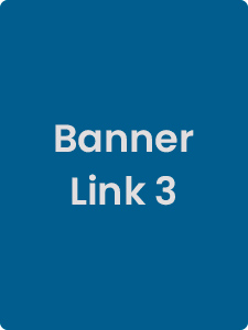 Link 3
